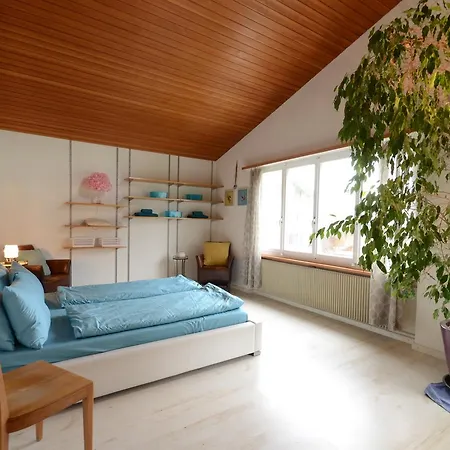 Bijou Family Chalet 度假居
